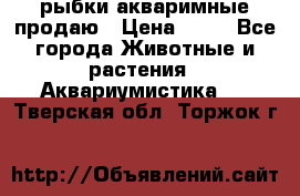 рыбки акваримные продаю › Цена ­ 30 - Все города Животные и растения » Аквариумистика   . Тверская обл.,Торжок г.